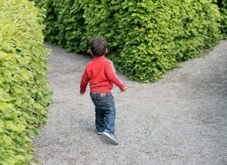 Jak opisać swój cel zawodowy? Jak opisać swój cel zawodowy?