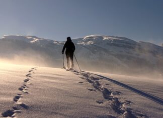 Jaka jest różnica między kijami trekkingowymi a nordic walking? Jaka jest różnica między kijami trekkingowymi a nordic walking?