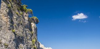 Czy do snorkelingu trzeba umieć pływać?