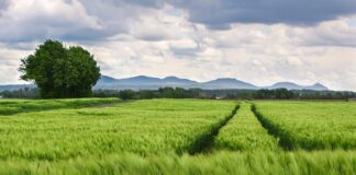 Czy wielkość kół w rowerze ma wpływ na prędkość? Czy wielkość kół w rowerze ma wpływ na prędkość?
