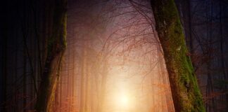 Jak zrobić oświetlenie do zdjęć?