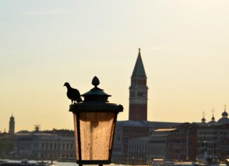 Co do rozciągania butów? Co do rozciągania butów?