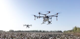 Ile bawełny powinno być w skarpetkach?