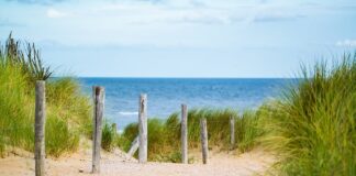 Jak układać cienkie i rzadkie włosy?