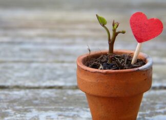 Jak rozciągnąć skórzane buty domowe sposoby?