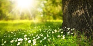 Do czego pasują białe buty damskie? Do czego pasują białe buty damskie?