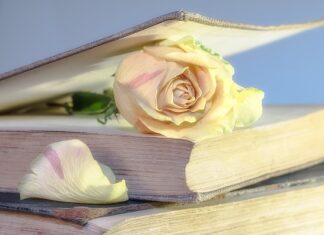 Czy można nosić używane buty?