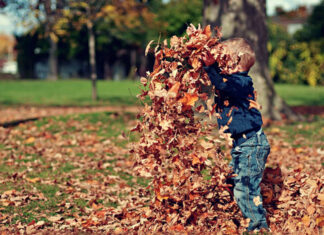 Jaka zabawka jest najbardziej odpowiednia pod względem rozwoju dla dziecka w wieku 18-24 miesięcy